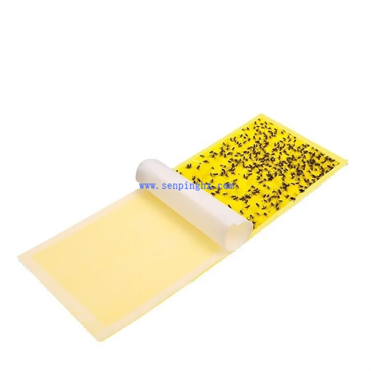 insect adhesive trap