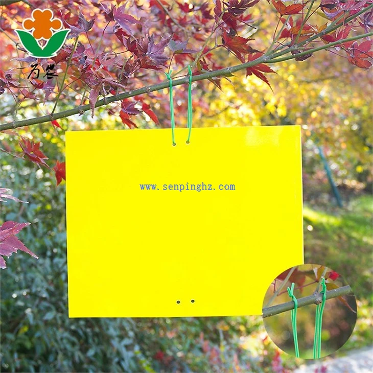yellow insect glue trap